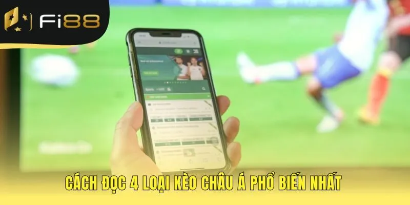 Đọc kèo châu Á giải mã logic các tỷ lệ chấp phổ biến