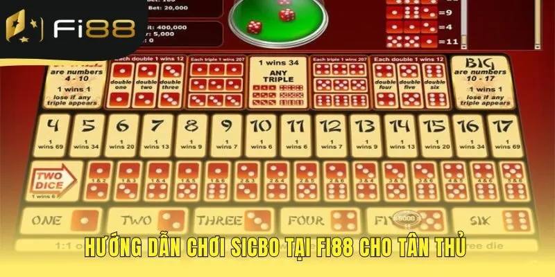 Hướng dẫn tân thủ qua quy trình cược 5 bước rõ ràng